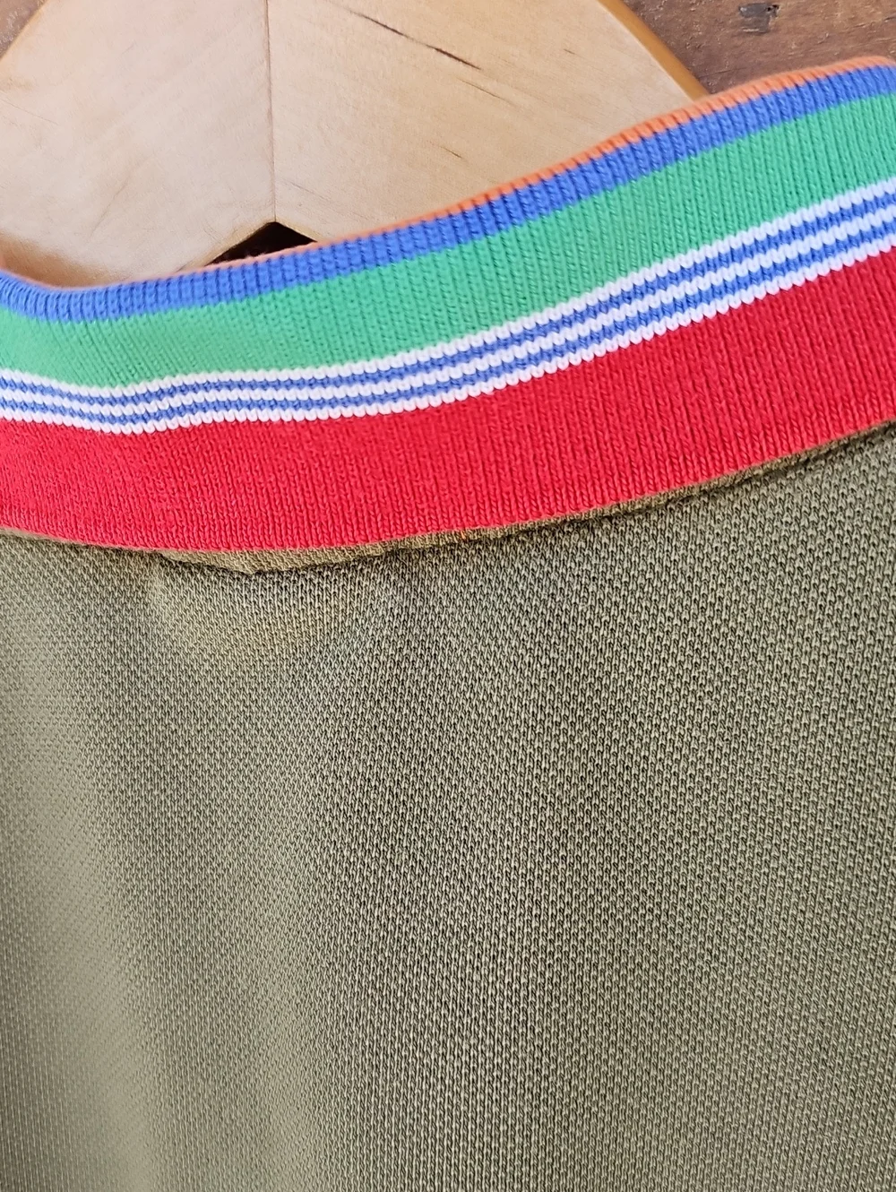 Ralph Lauren Olive Polo with Multi-Color Striped Collar
